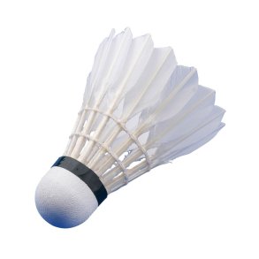 BADMINTON
