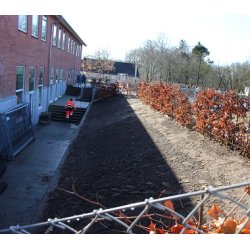 Billeder - Bording Skole