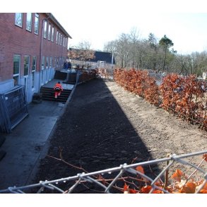 Billeder - Bording Skole