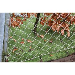 Billeder - Bording Skole