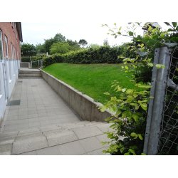 Billeder - Bording Skole