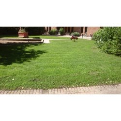 Billeder - Boligforeningsg&aring;rd