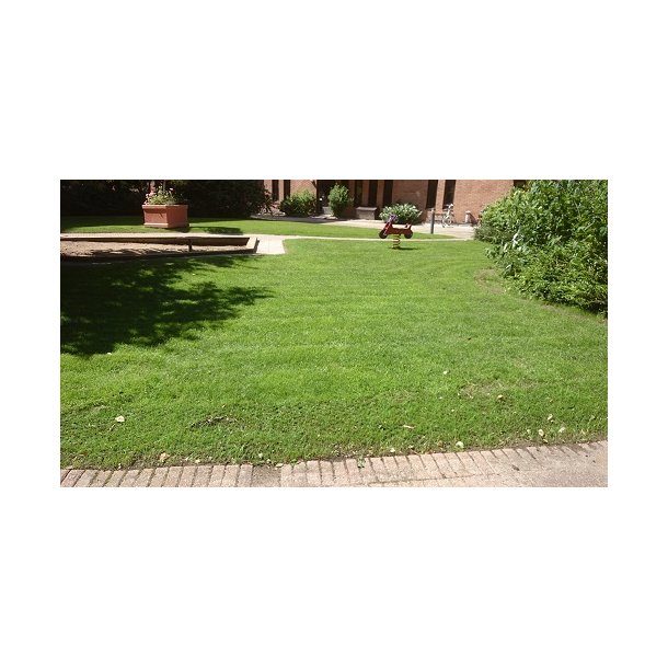 Billeder - Boligforeningsg&aring;rd