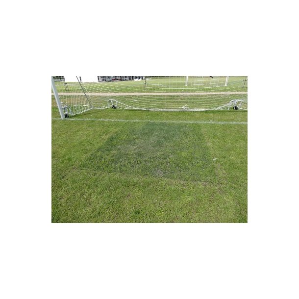 Billeder - VB Parken - Vejle