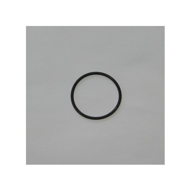 O-ring for AVS filter