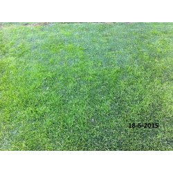 Billeder - Kolding Stadion 