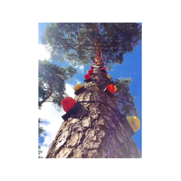 MONKEYKLATREGREB - HIGH SCHOOL