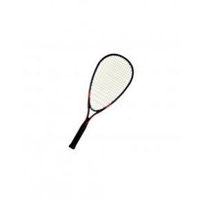 SPEEDMINTONSCHOOL KETCHER