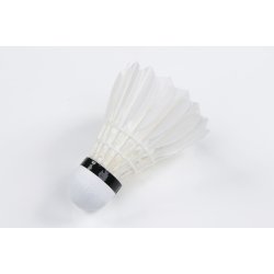 VICTORBADMINTONBALL PRO COURT (BADMINTONBOLDE)