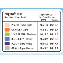 SANCTBANDLOOP BAND TRNINGSELASTIK