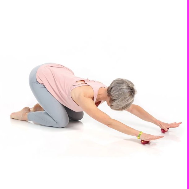 TOGUBRASILBERRY HNDTRNER 