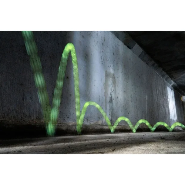 WABOBAMOONSHINE BOLD