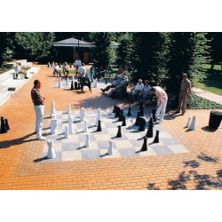 ROLLY TOYSUDENDRS SKAKBRIKKER