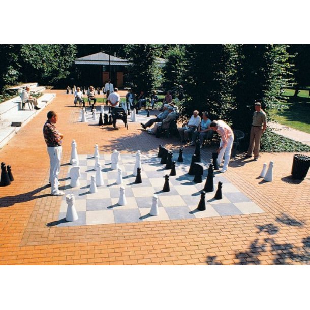 ROLLY TOYSUDENDRS SKAKBRIKKER