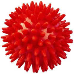 TANGA SPORTSMASSAGEBOLDE