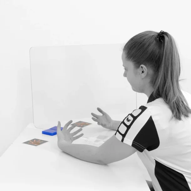 TERAPISPEJL SYSTEM MOVE CONTROL