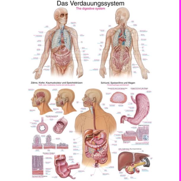 FORDJELSESSYSTEMET PLAKATER