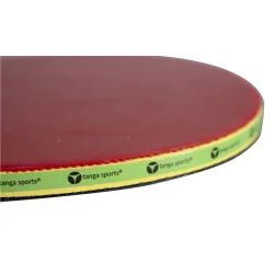 TANGA SPORTSBORDTENNISBAT SCHOOL