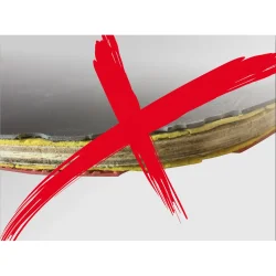 DONIC-SCHILDKRTBORDTENNISBAT PROTECTION LINE S300