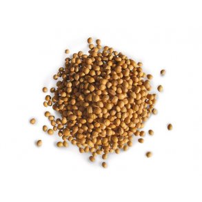 ORIGINALE WENEA KIRSEBRSTEN