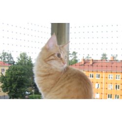 E-FLEX AFSKRMNINGSNET