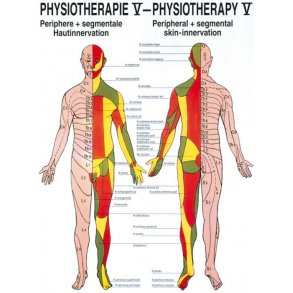 MENNESKETS HUDINNERVATION PLAKATER