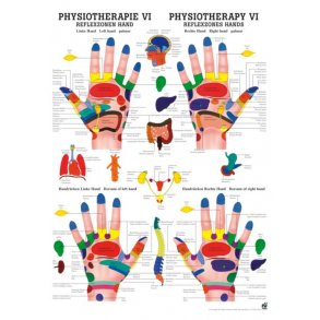 REFLEXZONE HND PLAKATER