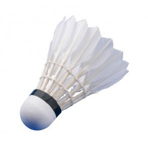 BADMINTON BOLDE