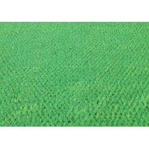 Coverlawn (hybridgræs)